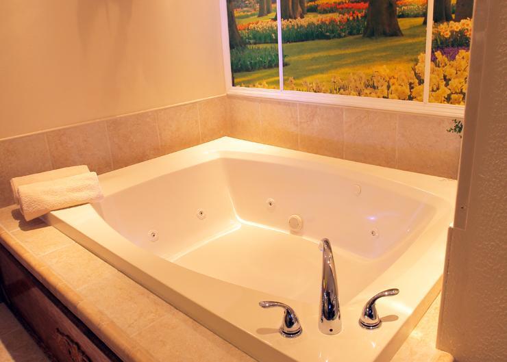 Sybaris Pool Suites - インディアナポリス 部屋 写真